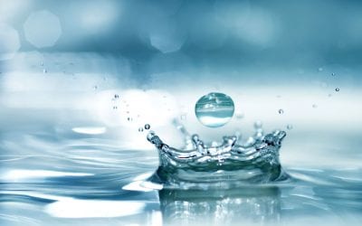 6 Ways to Save Water at Home